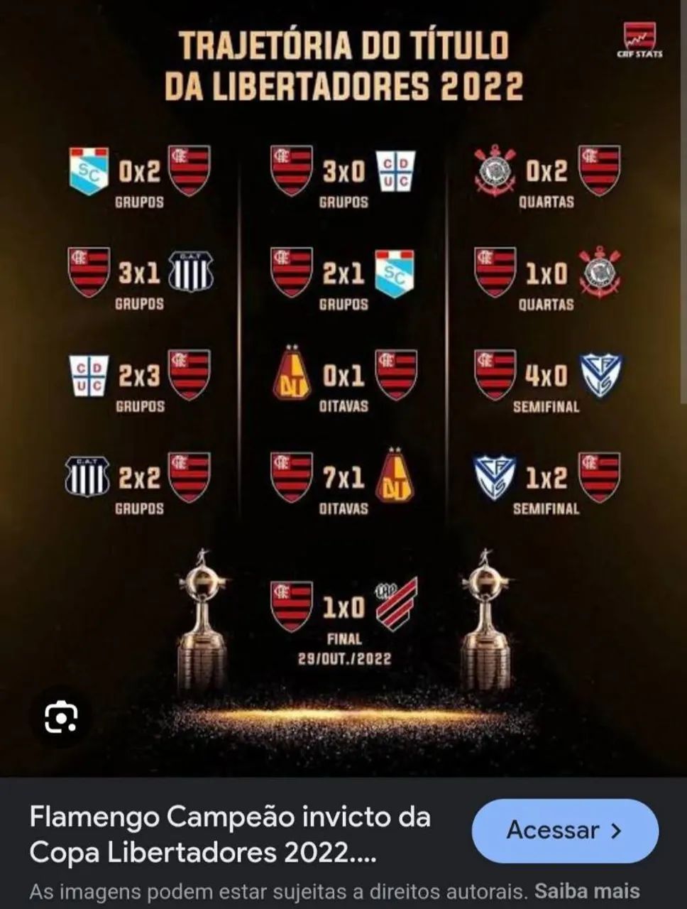Flamengo Campeão Invicto do Continente  - Foto 2