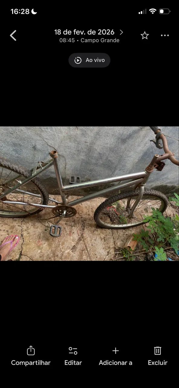 Bicicleta