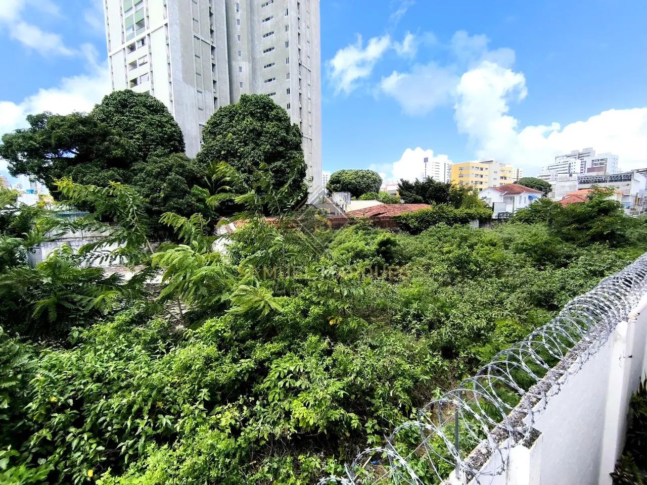 Terreno à venda em Encruzilhada - Recife - Foto 2
