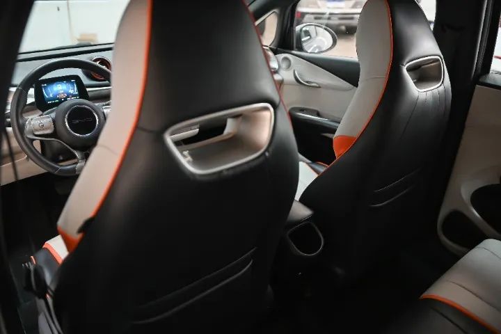 BYD Dolphin GS (Elétrico) 2027 - Foto 4