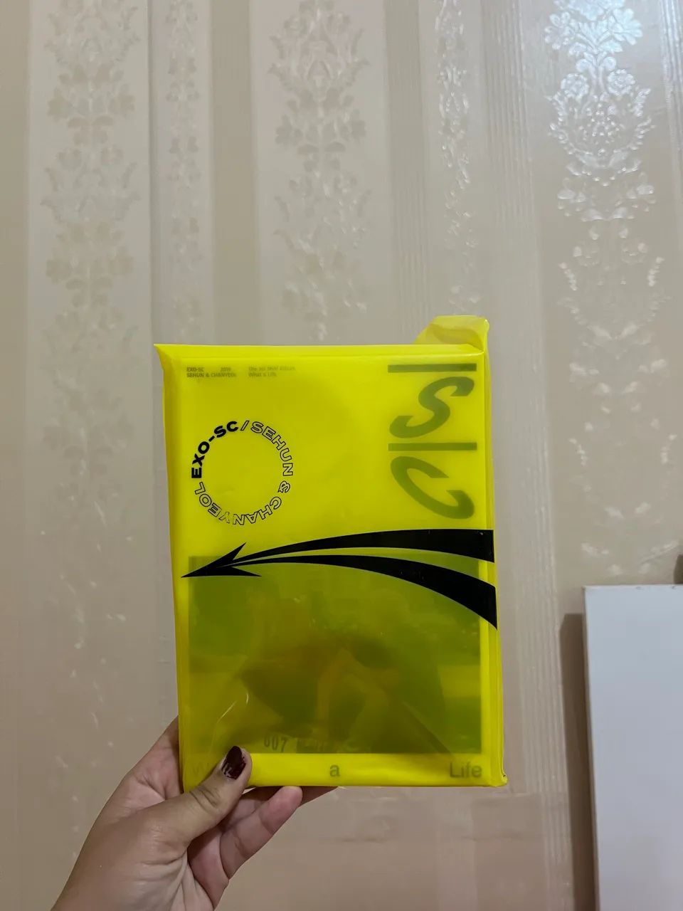 Album Exo SC what a life 