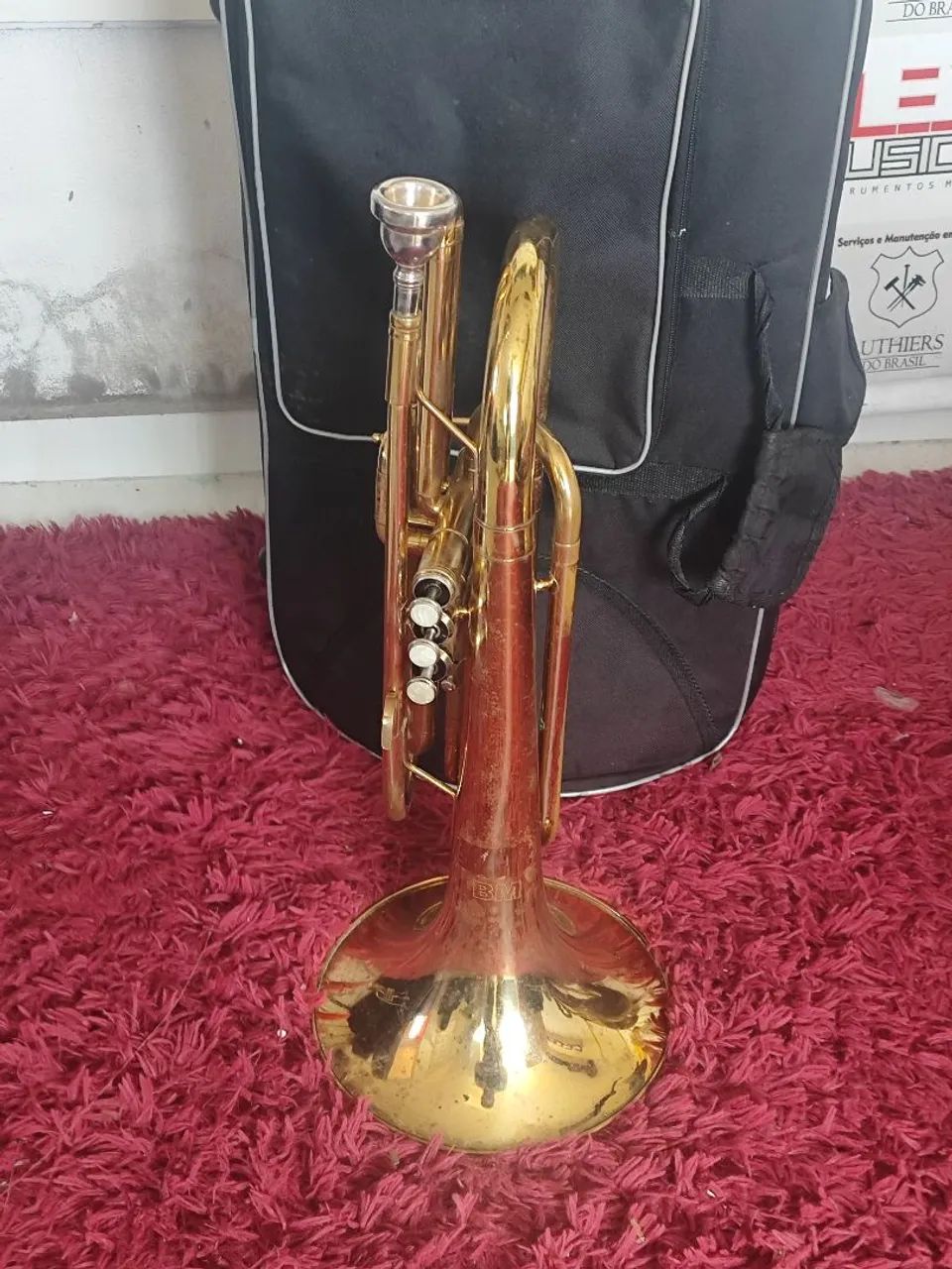 Trombonito BM sib - Foto 2