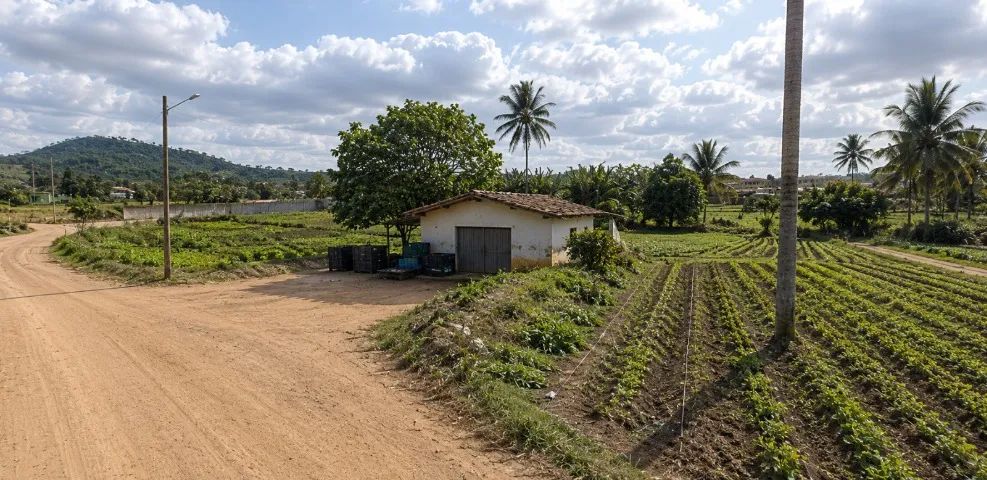 TERRENO Á VENDA EM NATUBA