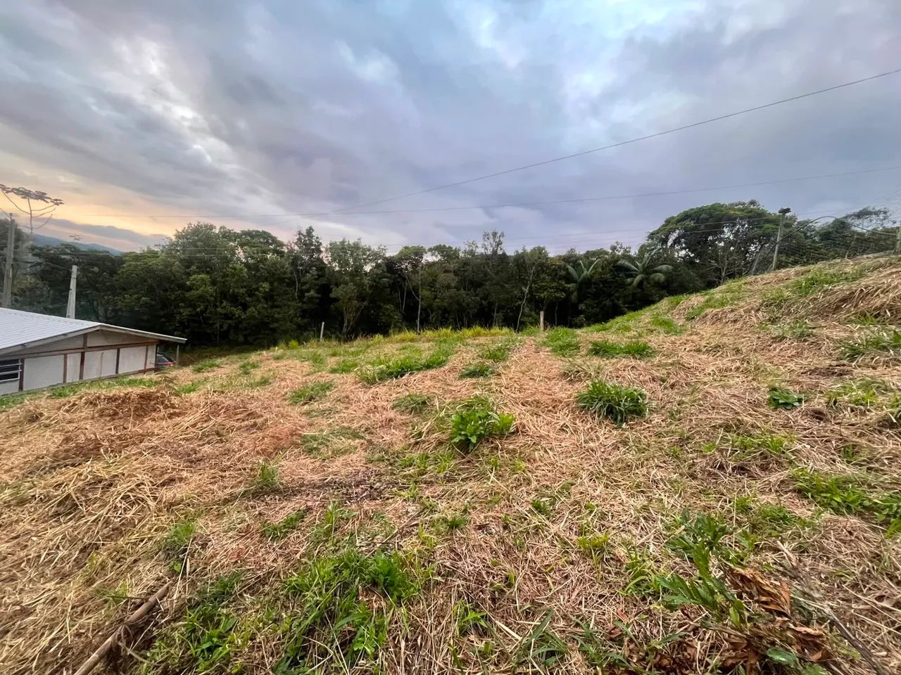 Terreno em são Pedro de Alcântara  - Foto 4