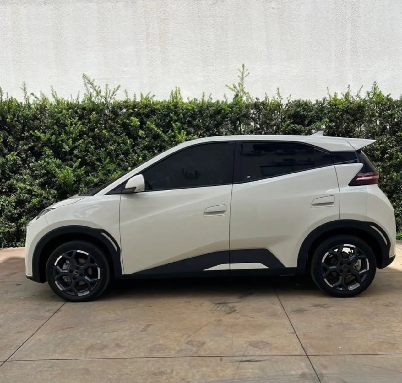 BYD Dolphin Mini (Elétrico) 2025 - Foto 5