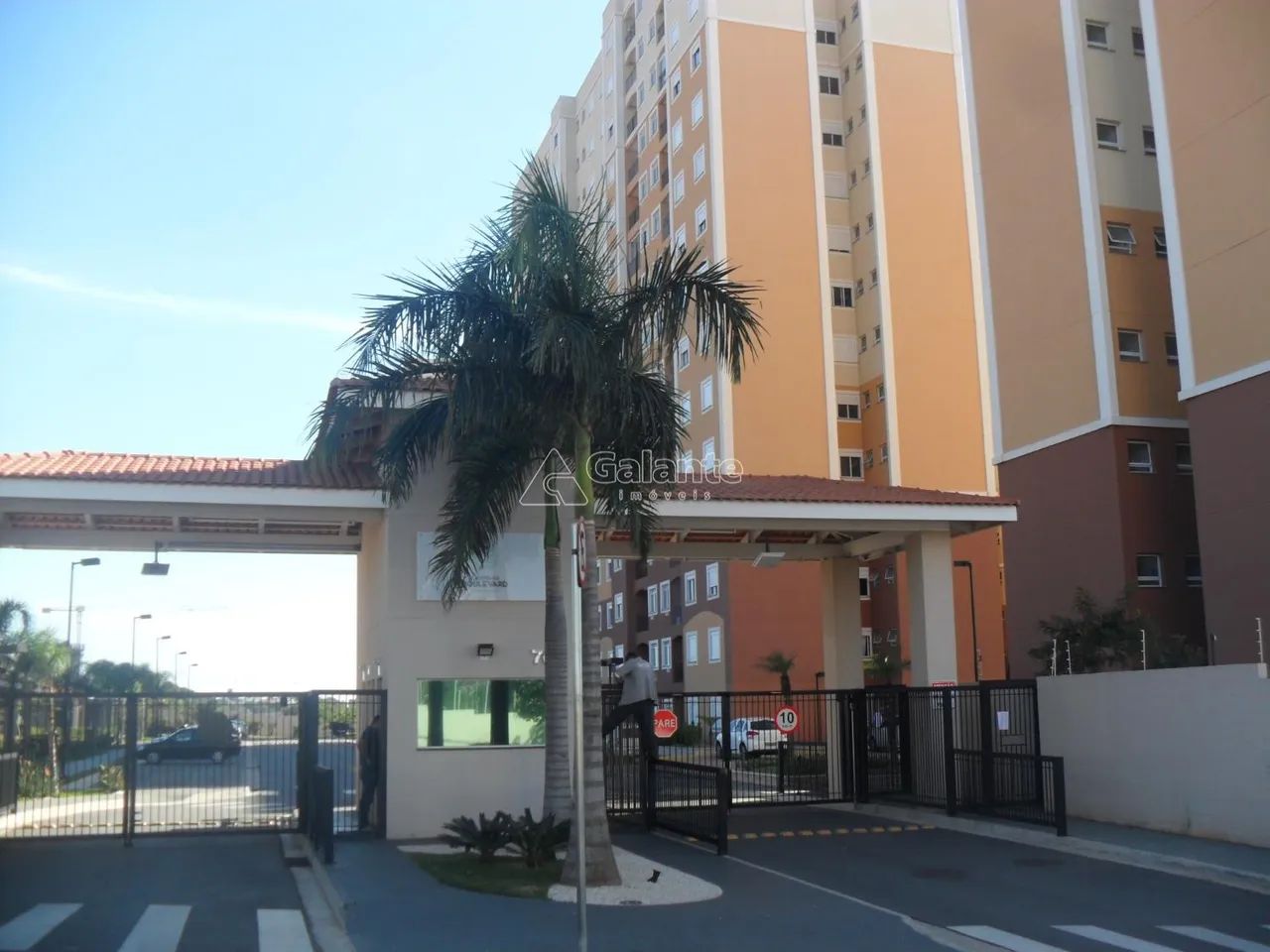 apartamento - Vila Satúrnia - Campinas