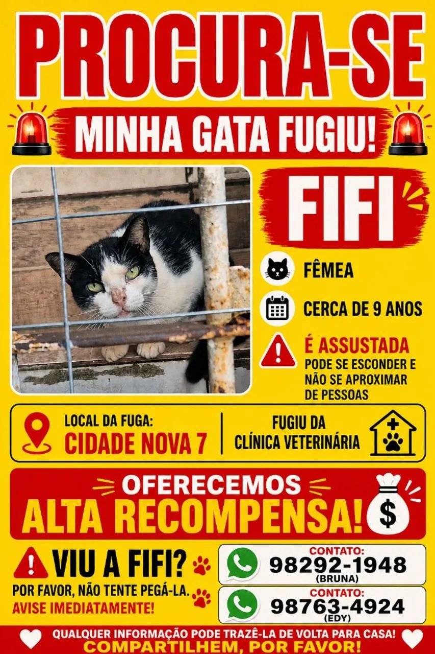 ALTA RECOMPENSA