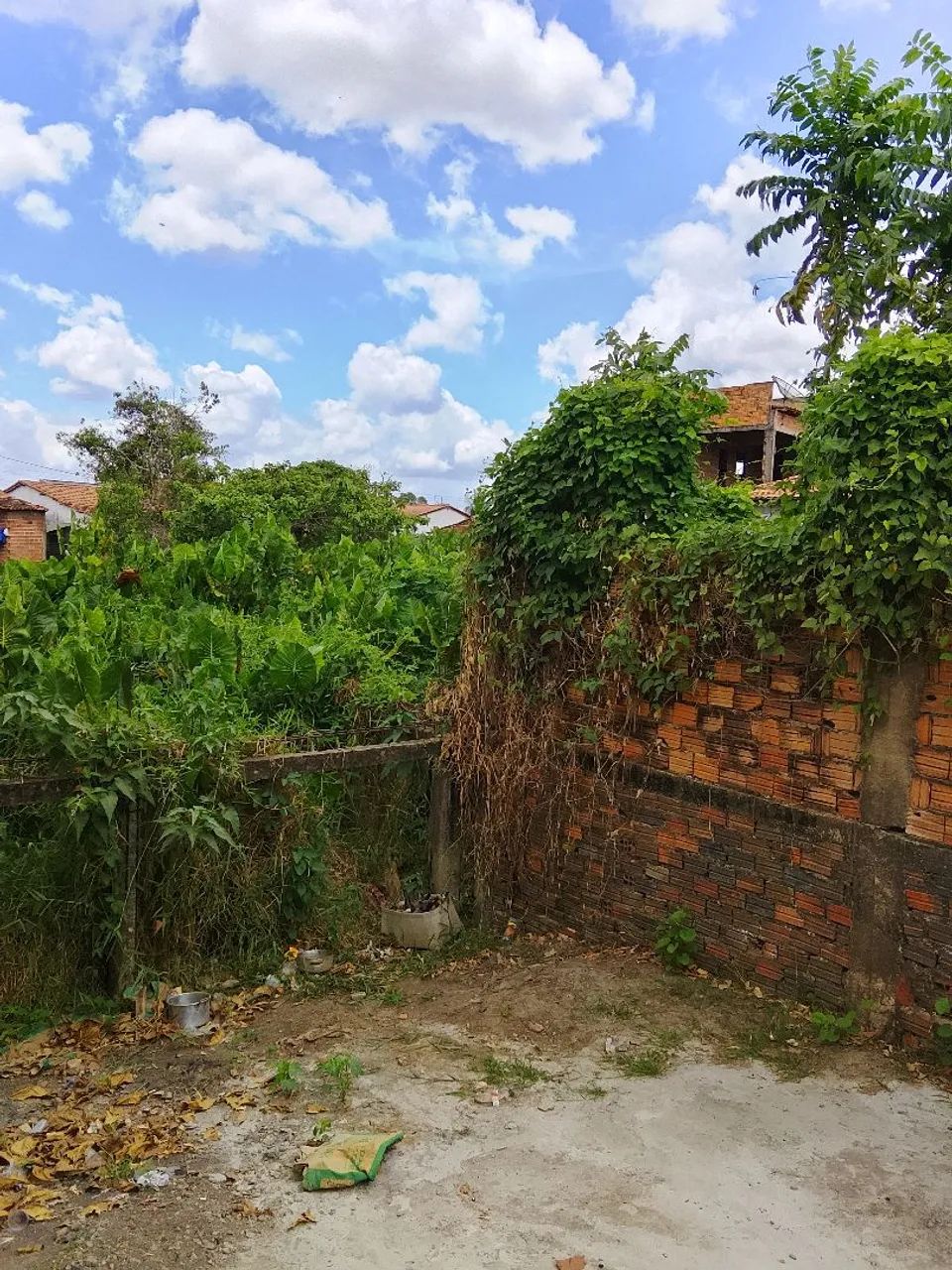 Excelente Terreno Em Cajari - MA - Foto 4