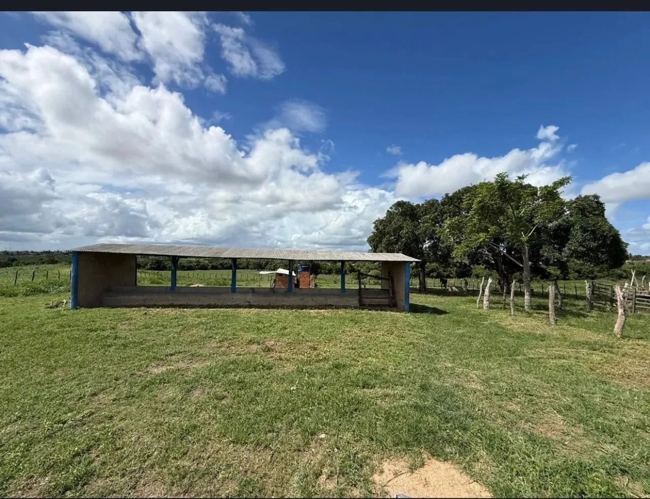 Vendo Fazenda em Lagarto  - Foto 4