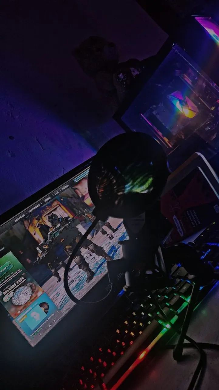 PC gamer