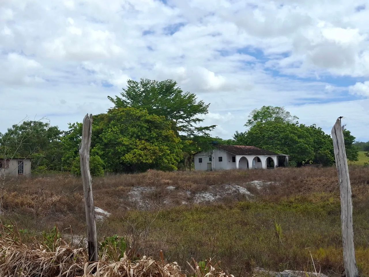 Vendo Sítio com 22 hectares em Alhandra - Foto 4
