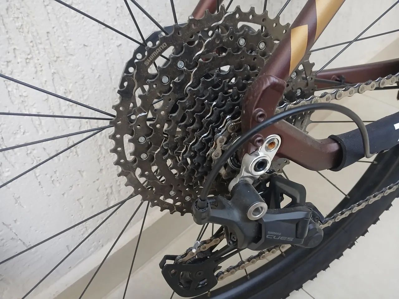 Audax 300  - Foto 5
