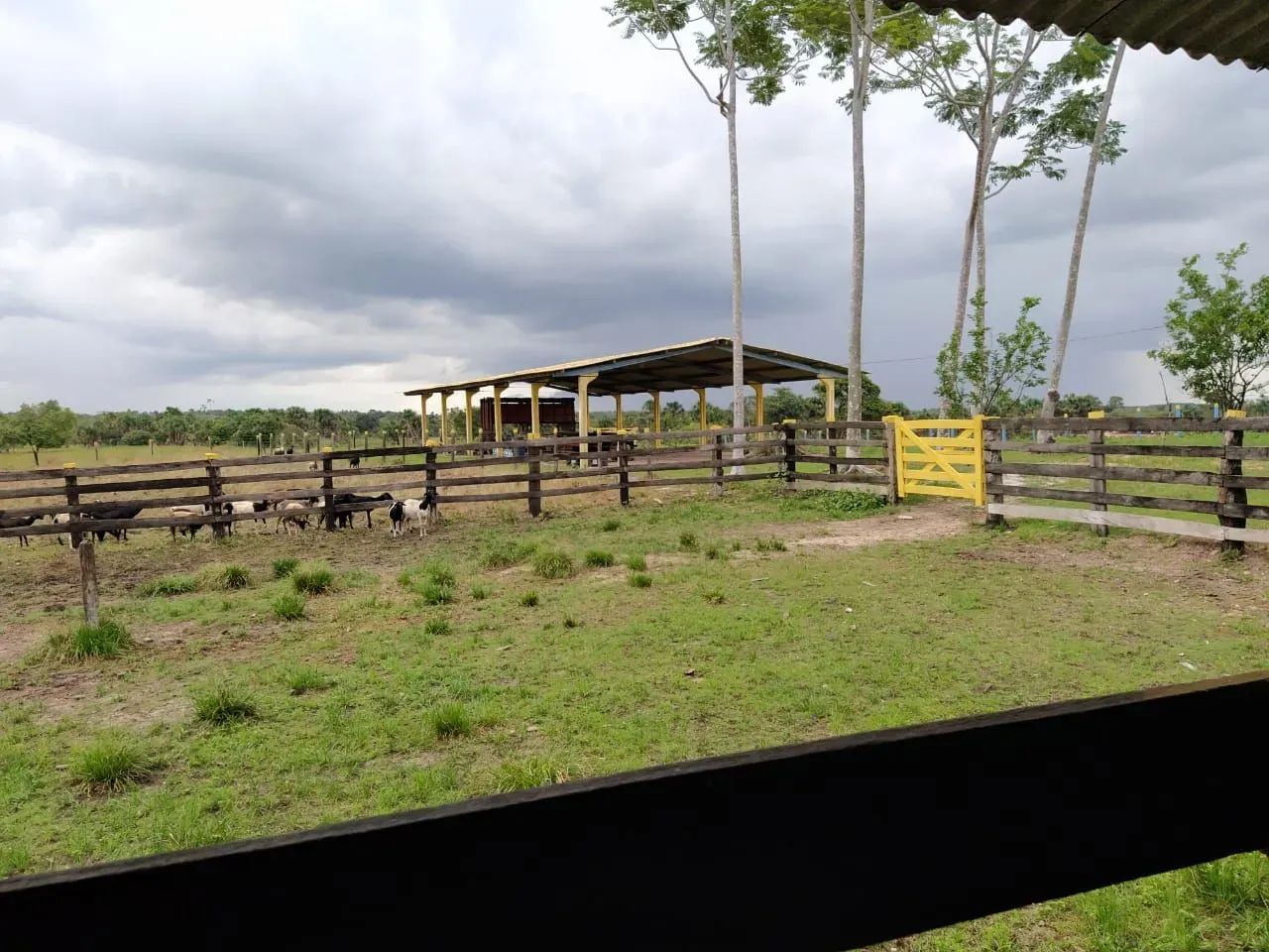 Fazenda com 733 hectares para pecuária - Foto 2