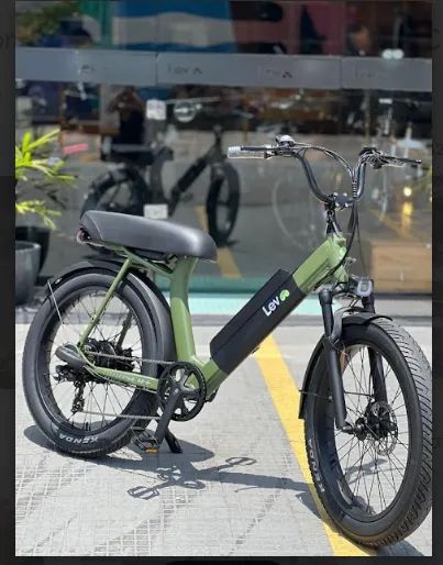 Bicicleta Eletrica Lev