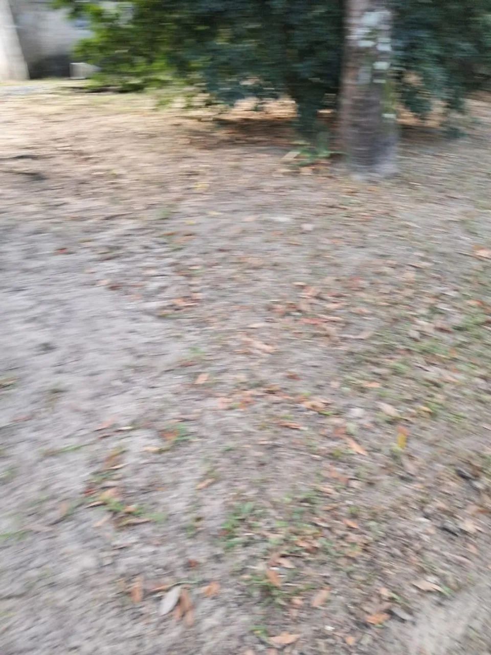 Vendo mini sítio em São Joaquim - Itaboraí  - Foto 3