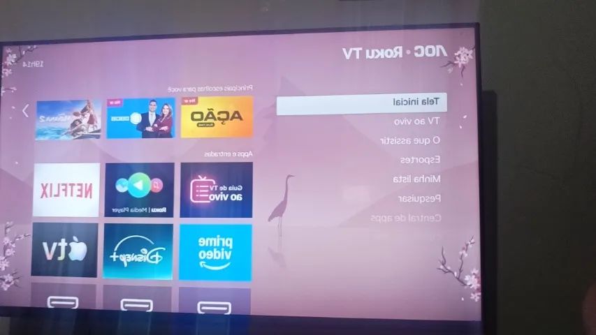 Televisão 