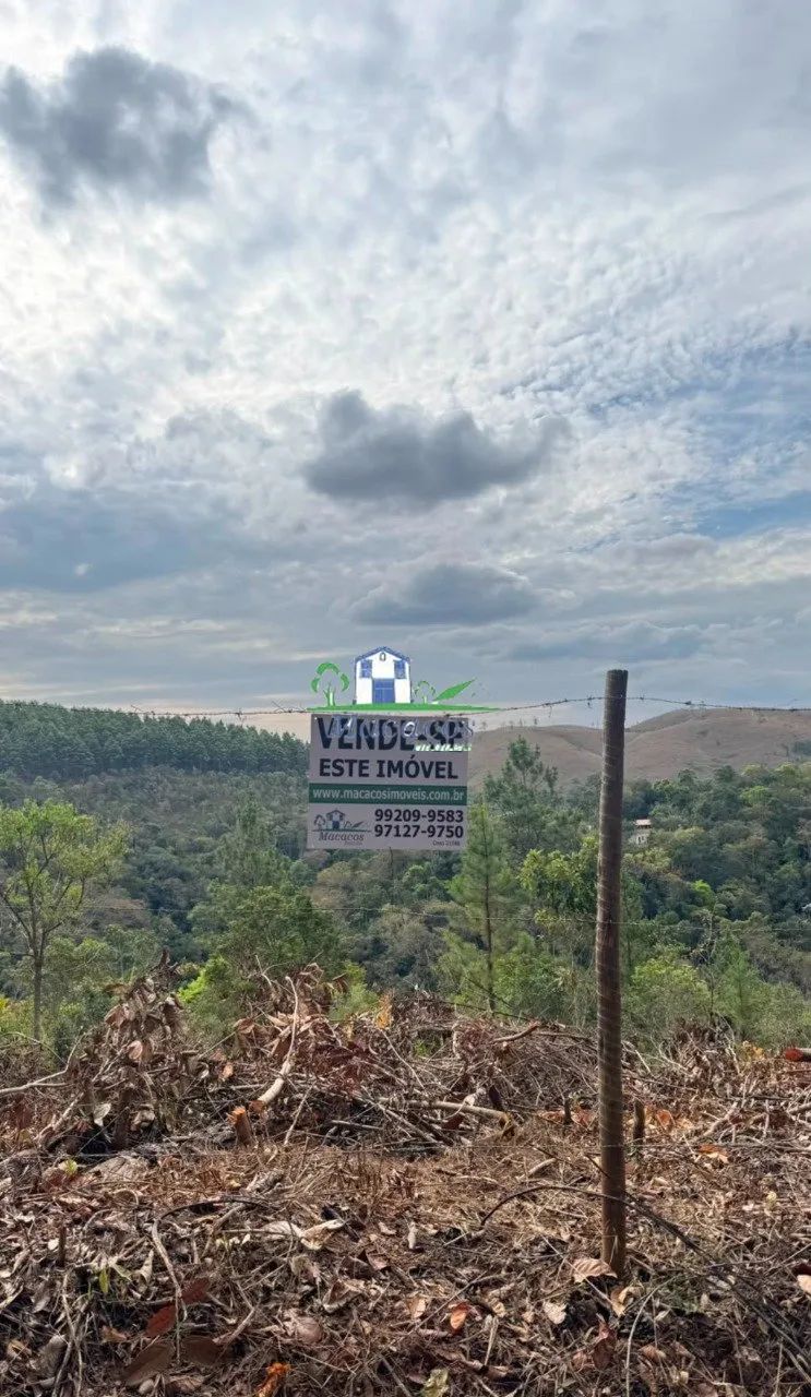 lote Sans Souci Macacos - Foto 5