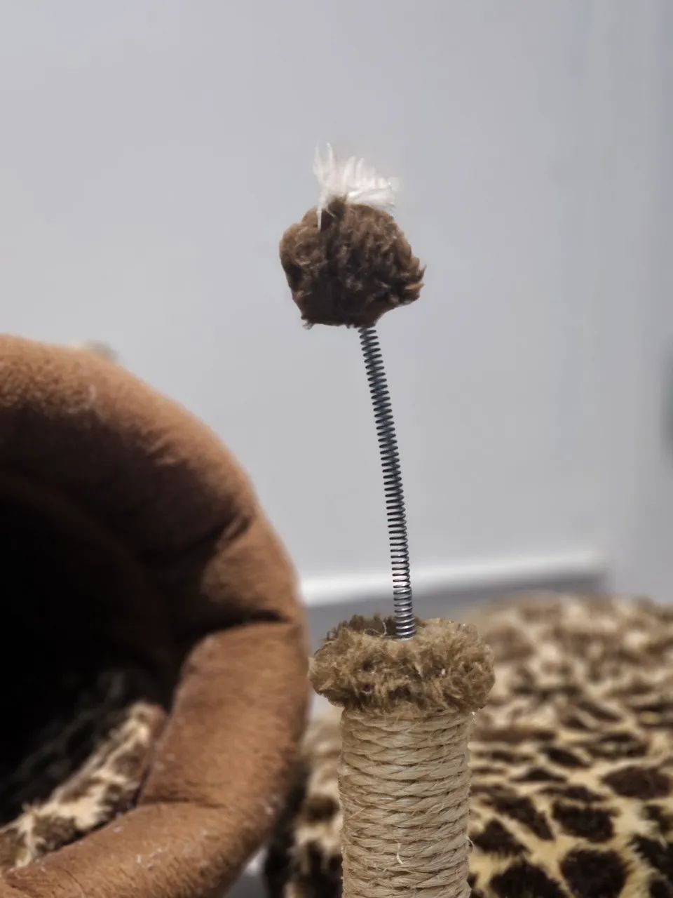 CAMINHA GATO FILHOTE E ADULTO  + BRINQUEDO  - Foto 4