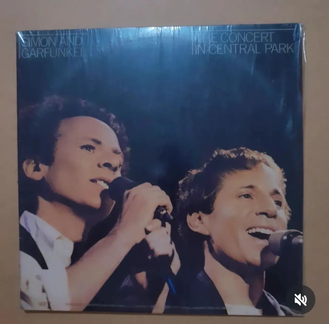 Vinil Lp Duplo SIMON AND GARFUNKEL 