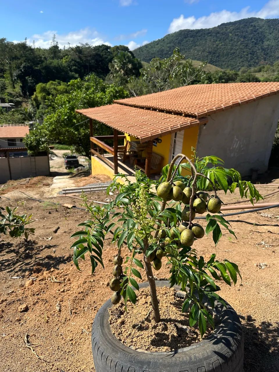 Mini sítio a venda próximo a papucaia-cachoeiras de Macacu  - Foto 4