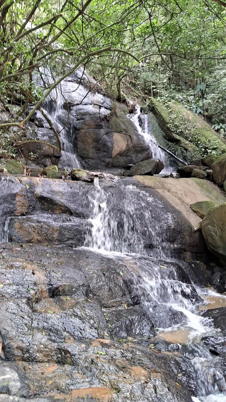 Sítio completo com cachoeira em Anitápolis-SC  - Foto 5