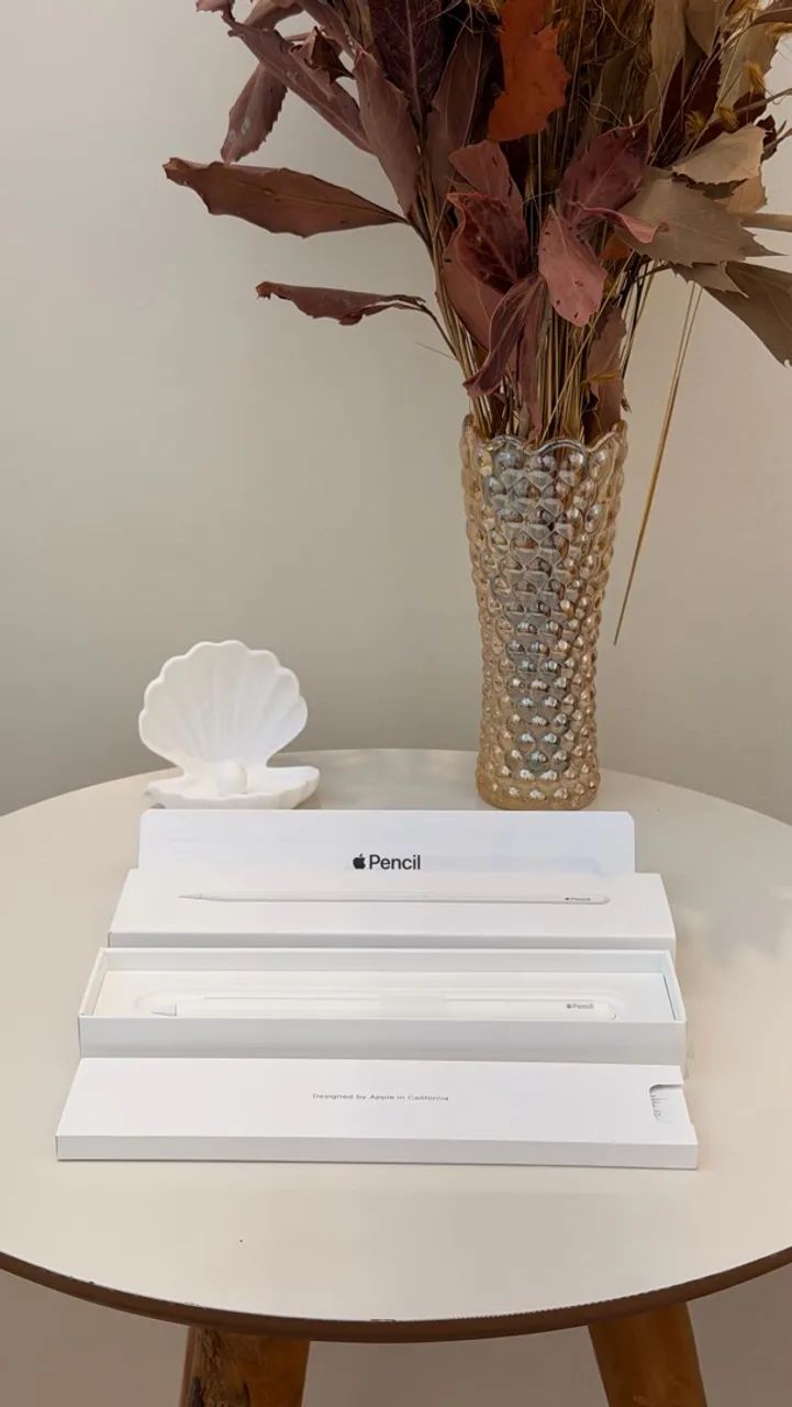 Apple Pencil 2º geração NOVA - Foto 4