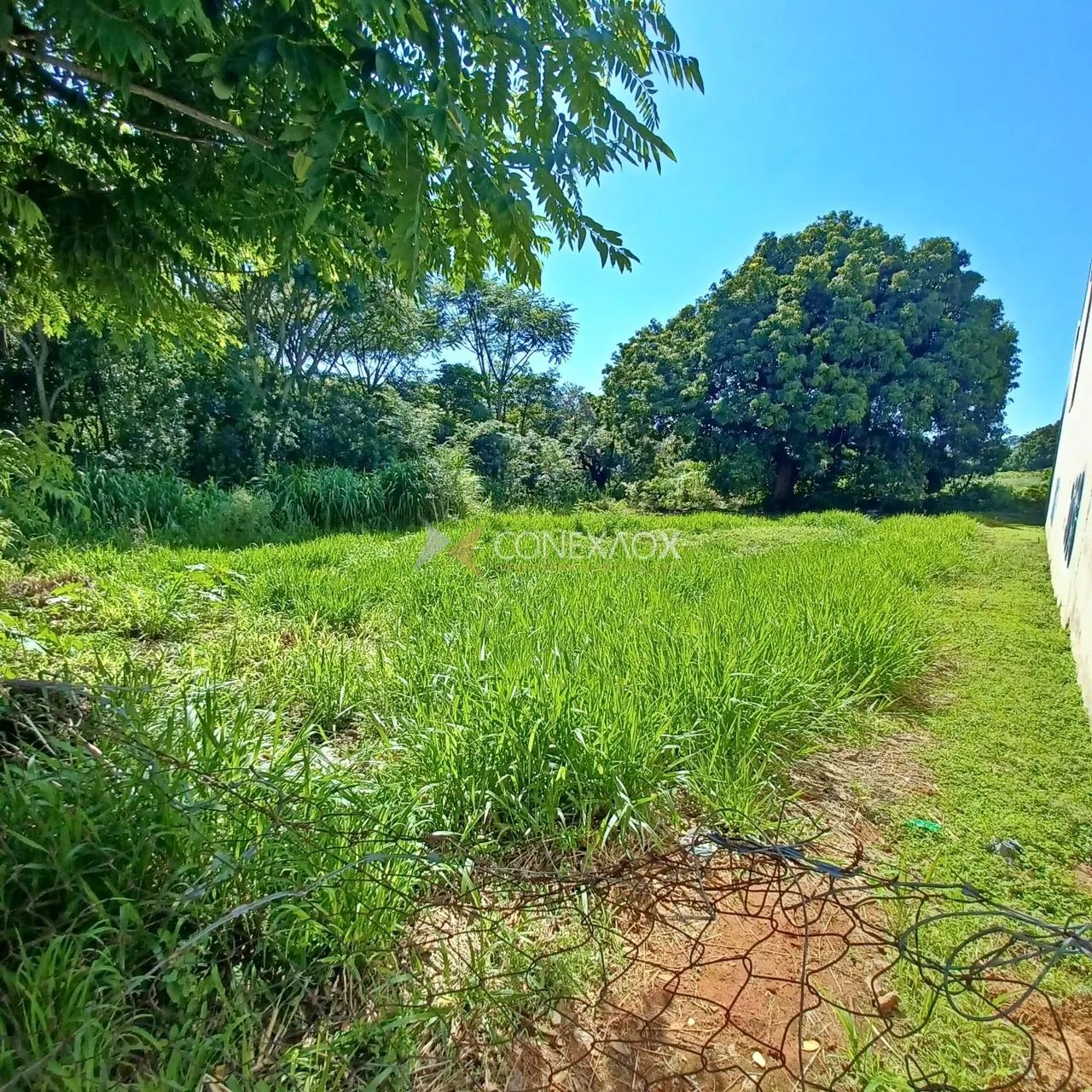 terreno - Cidade Universitária - Campinas