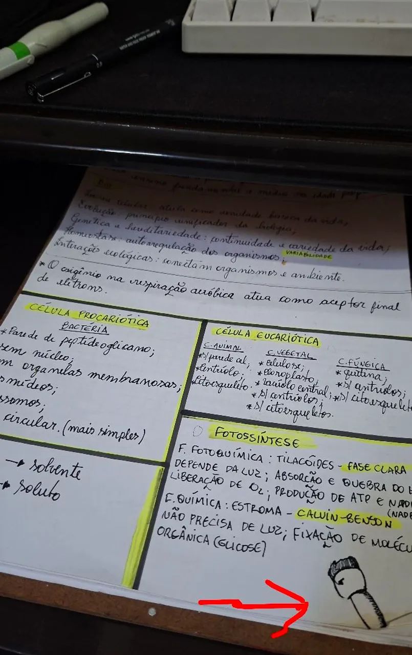 Aulas particulares de Biologia e Química avançadas - Foto 3