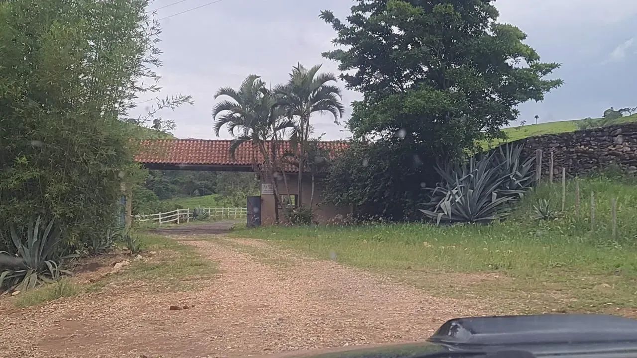 Fazenda para lazer(vida) ,pecuária boi - Foto 4