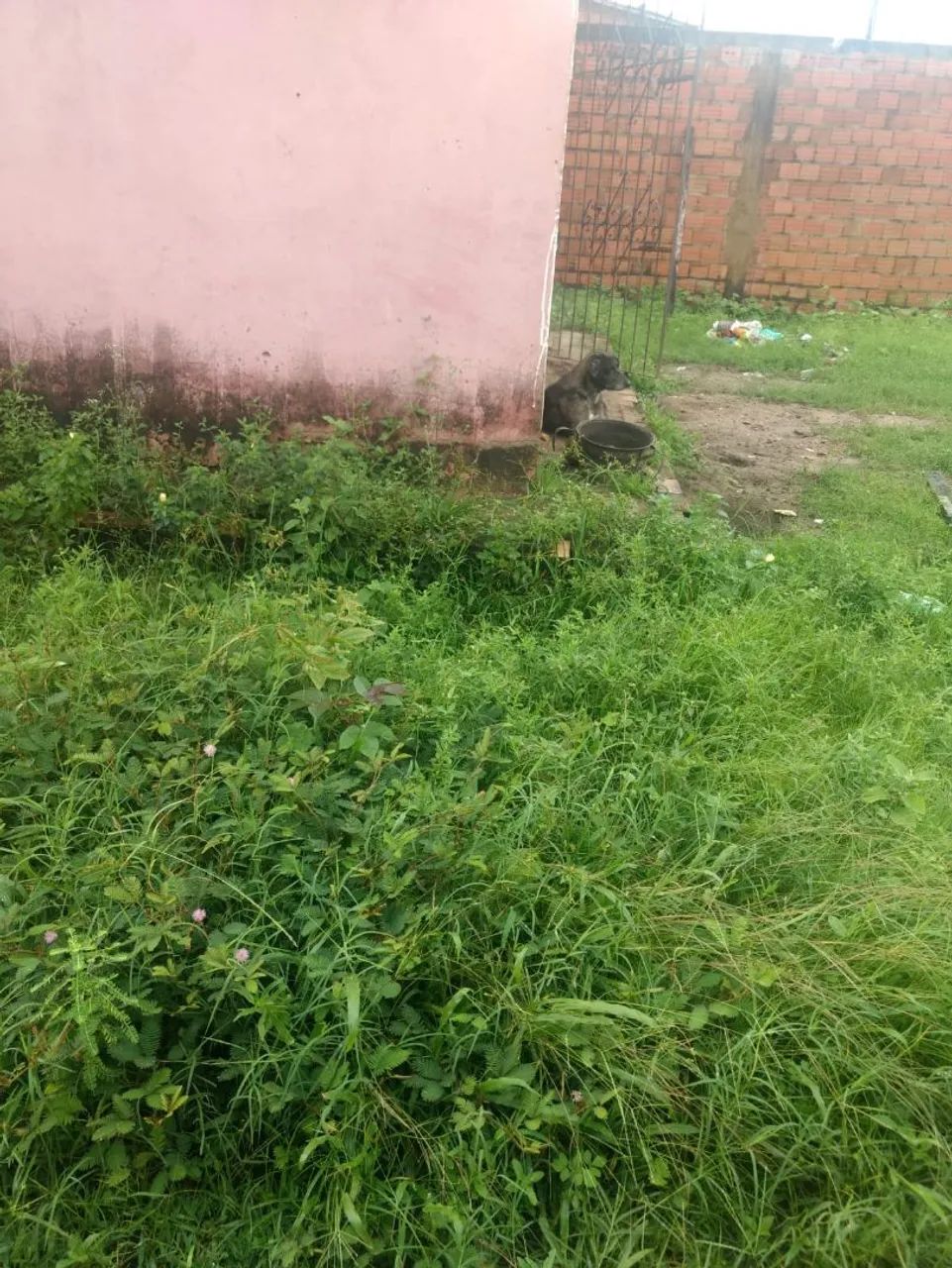 Casa à venda em Soure - Foto 5
