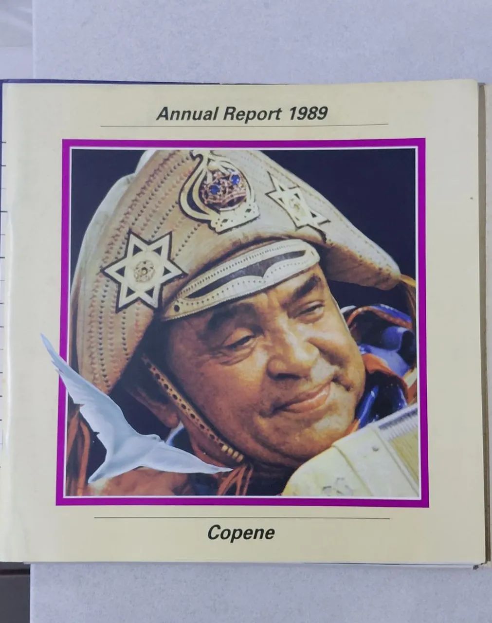 Discode vinil 