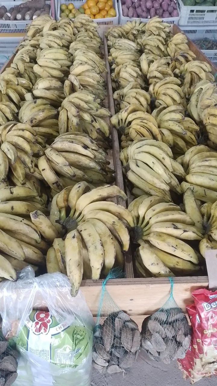 Vendo bananas para revenda