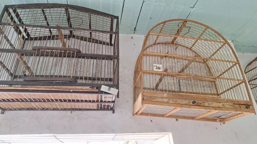 Gaiolas Usadas - Foto 2