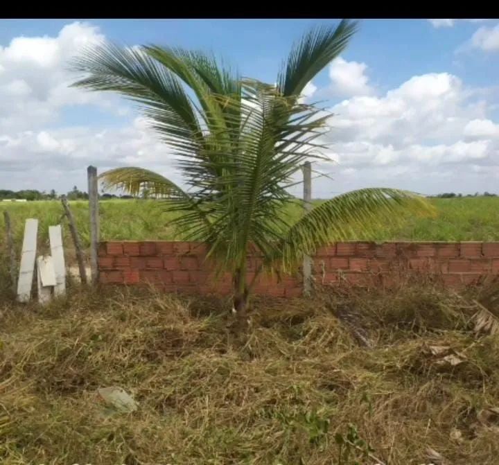 Terreno na pirunga capela Sergipe - Foto 5