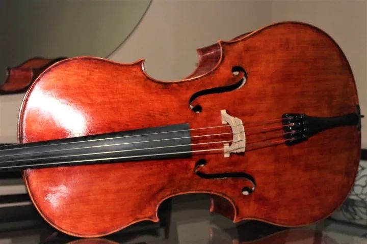 Violoncelo