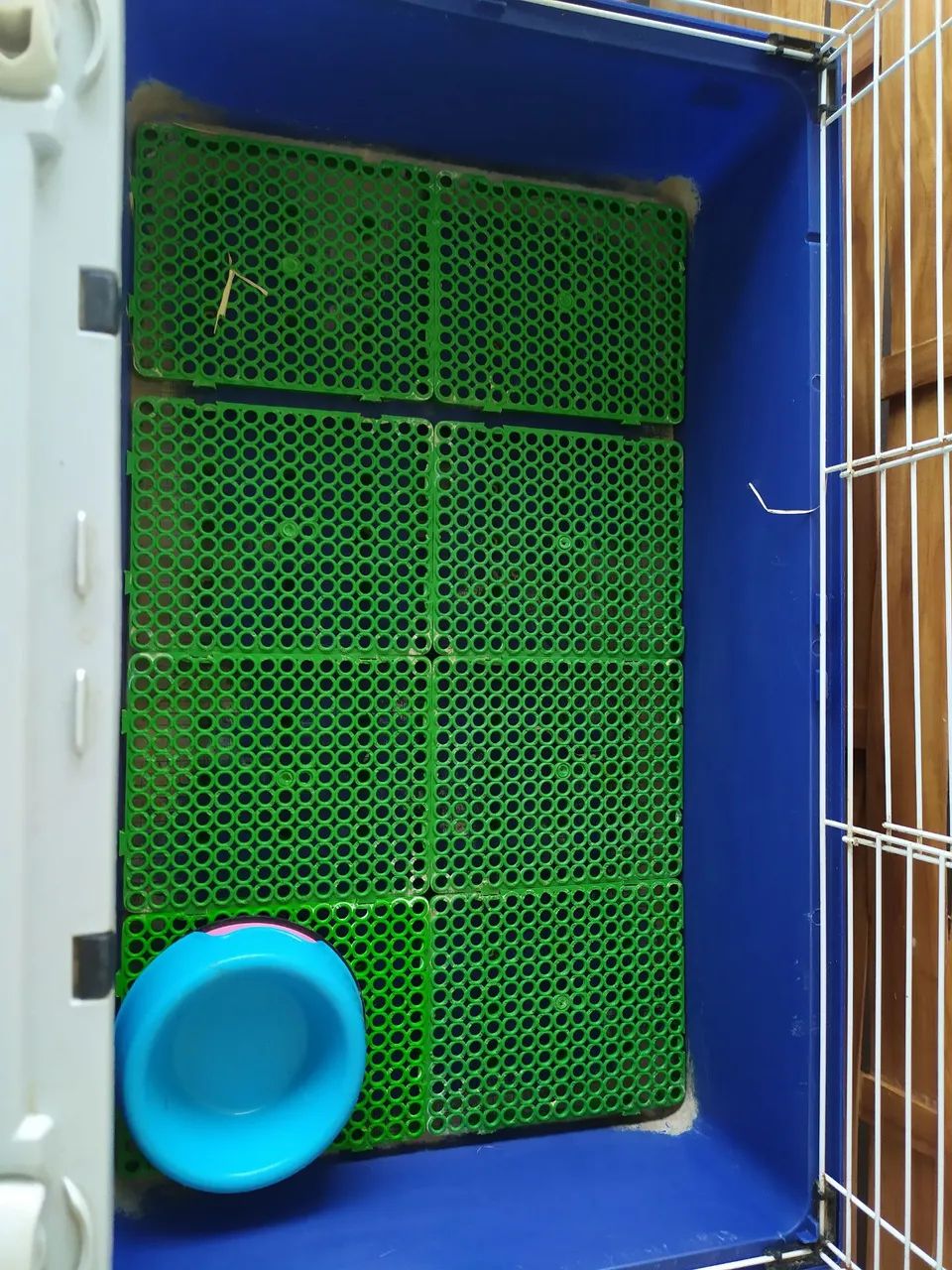 Gaiola para hamster , coelho 65578378712321122