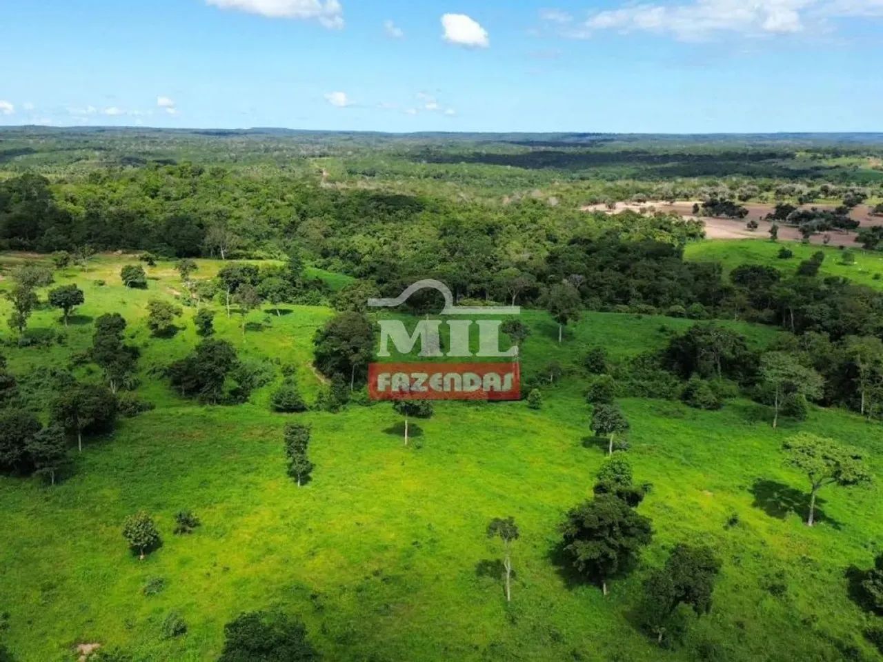Fazenda 150 alqueires ( 726 hectares ) Rio Sono- TO - Foto 4