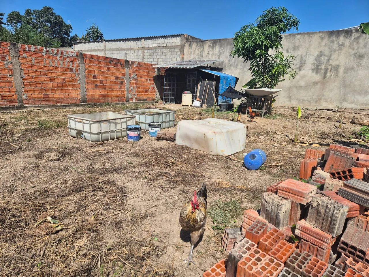 2 lotes no Parque Ohara - Foto 4