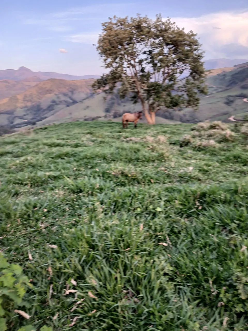 Vendo terreno  - Foto 4