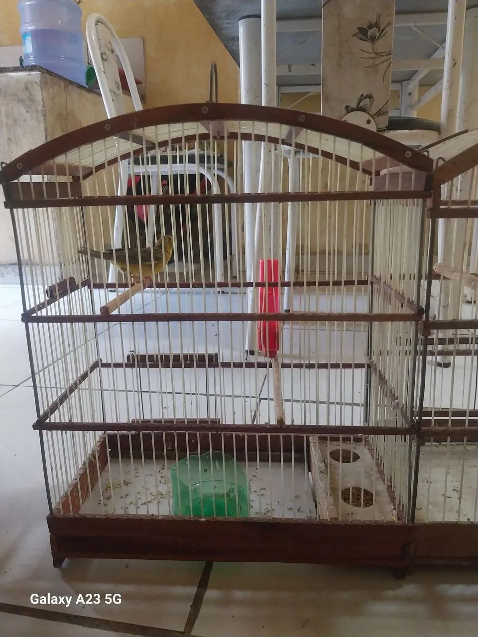Vendo essas gaiolas as 4  por 150 - Foto 3