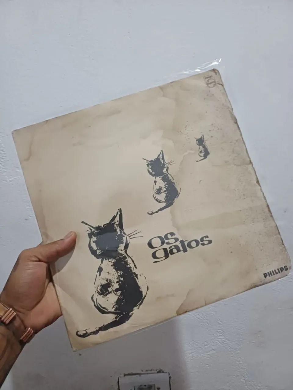 Capas disco de vinil "os gatos"