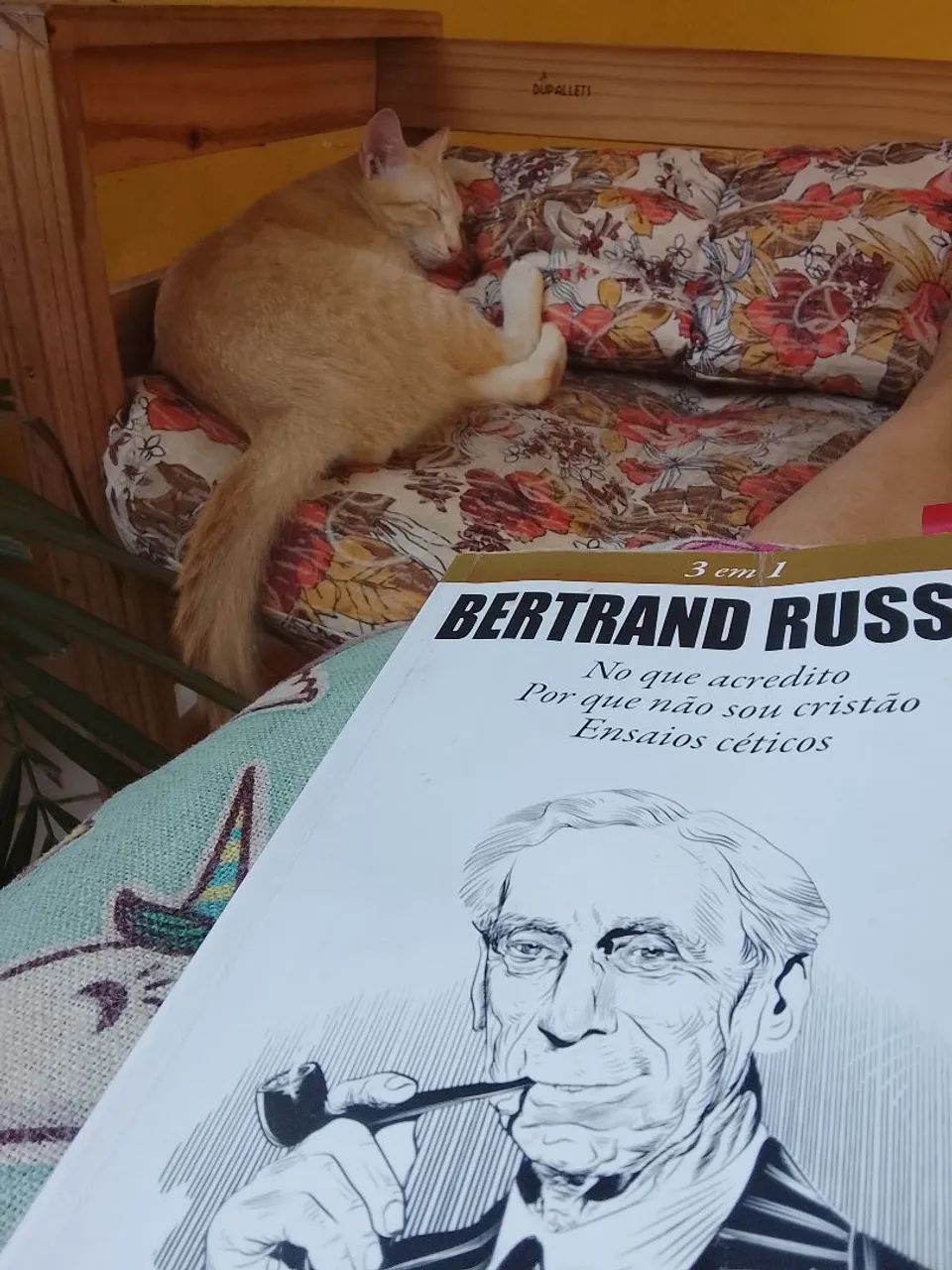 Momento de leitura  - Foto 4