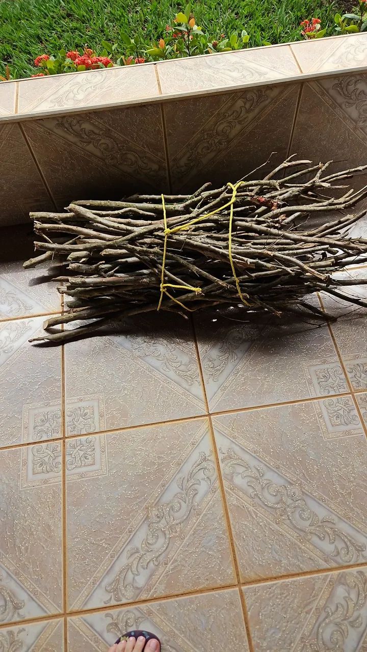 Poleiros Naturais  - Foto 3