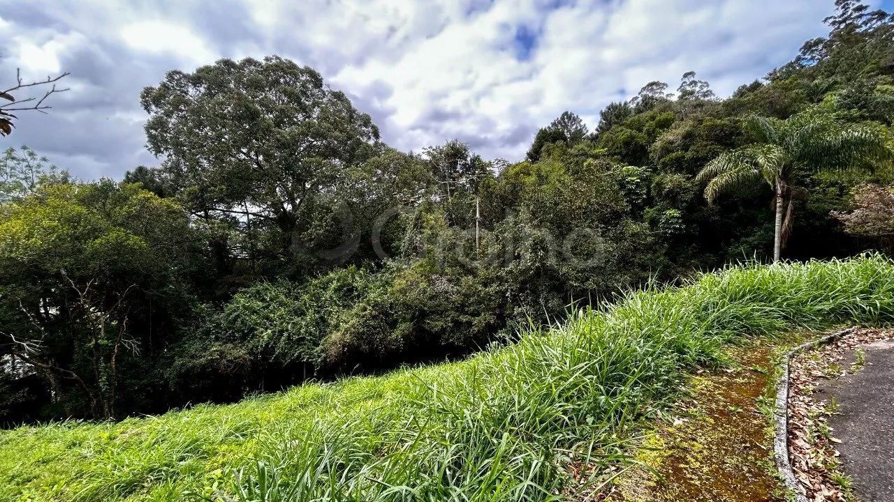 Terreno de 1.003,00 m² na Trindade - Foto 5