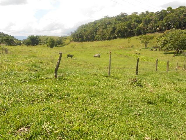 Jordão corretores - Fazenda 22 alqueires Cachoeiras de Macacu porteira fechada - Foto 5