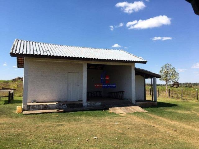 Fazenda na beira da BR 364 próximo à Cacoal - Foto 12