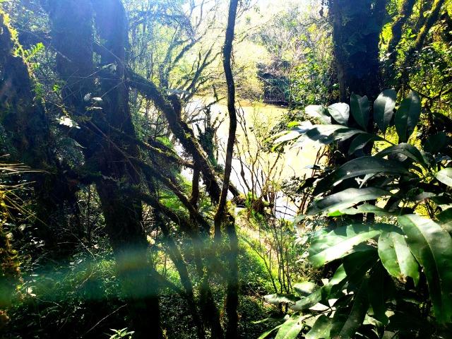 Belo Sítio com 30 hectares as Margens do Rio Canoas, em Rio Rufino - Foto 11