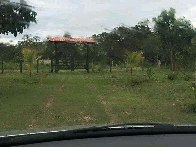 Fazenda em Governador Nunes Freire - Foto 3