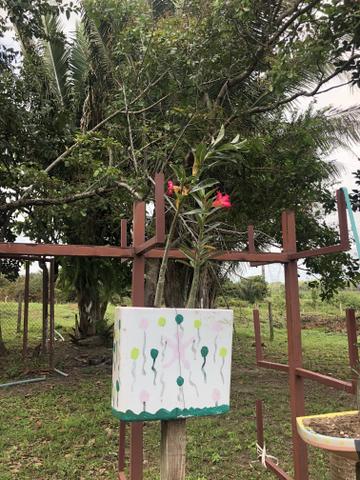Chácara portal dos nobres - Foto 19