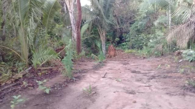 Fazenda de 138 alqs. na região de Dois Irmãos - Foto 7